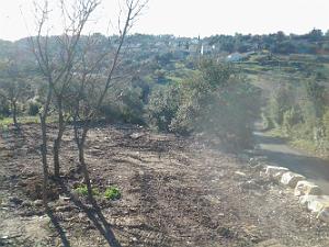 AMENAGEMENT DES PARKINGS A N.D. DE SANTA CRUZ A NIMES (6)